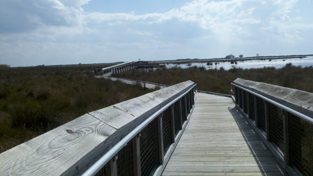 Marsh Boardwalk