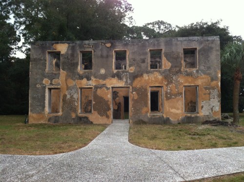 1736 Horton House (tabby)