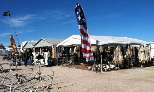 Get your coyote or fox skins here, and more!. Elk antlers in the foreground.
