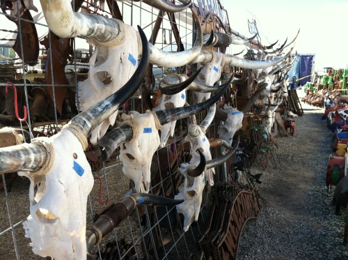 Loads of interesting stuff.