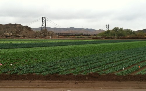 The Bridge to Nowhere