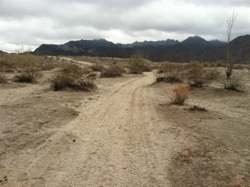 A Walk in the Desert