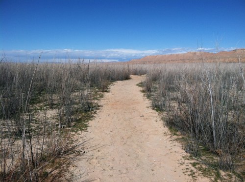 The Walk to St. Thomas