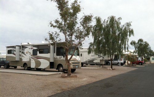 Kofa Mt. R.V. Park, #39