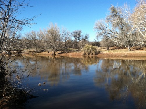 Agua Fria River near Montezuma's Castle.
