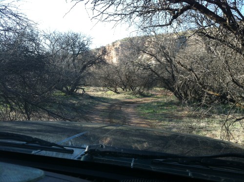 Exploring Desert Roads
