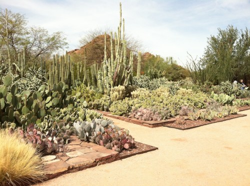 Desert Botanical Garden
