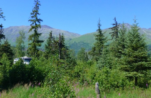 Trail River US Forrest Service Campground, #76