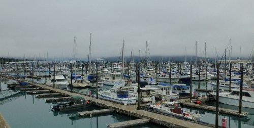 Marina at Seward