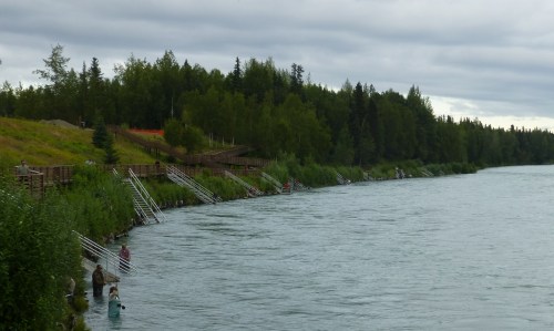 Salmon Fishing on Kenai River
