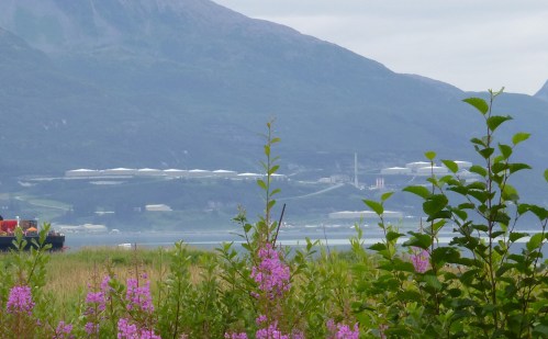Alaska Pipeline Terminus
