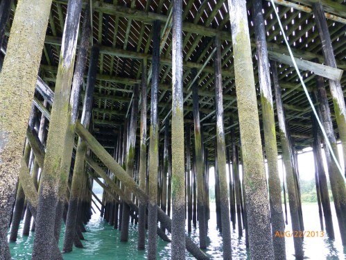 Under the Dock at Low Tide