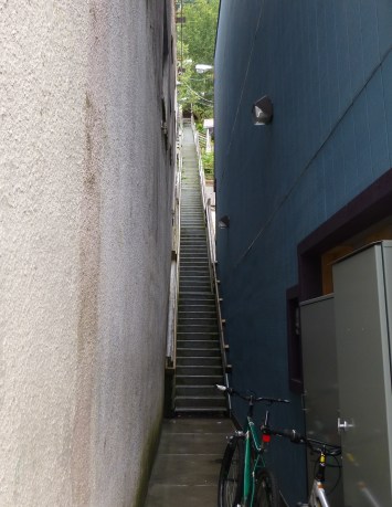 Thats a Lot of Steps!