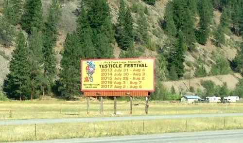 Testicle Festival