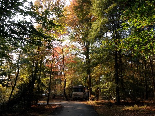 Greenbelt Park, #151