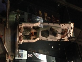 Rhesus Monkey Able From May 1959 Jupiter Missile Nose Cone Test Flight.