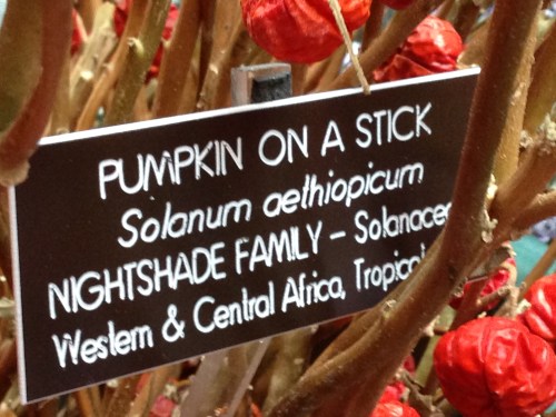 Pumpkin on a Stick