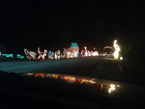 Holiday Festival of Lights