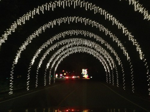 Holiday Festival of Lights