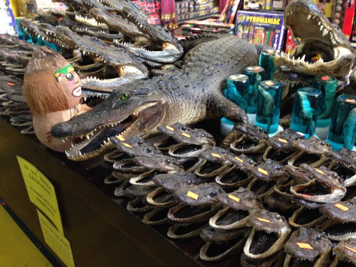 Alligators