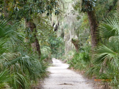 Cumberland Island