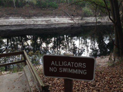 Alligators, No Swimming