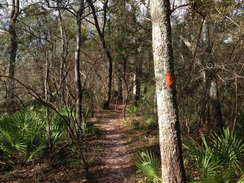 The Florida Trail