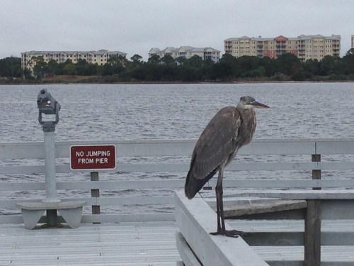 Panama City Beach, FL