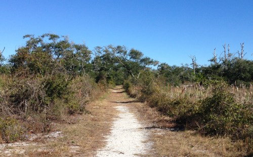 Fort Pickens Nature Trail