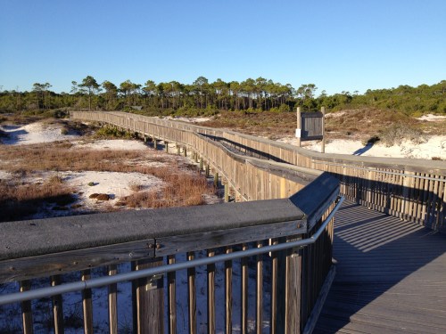 Boardwalk Over the Dunes