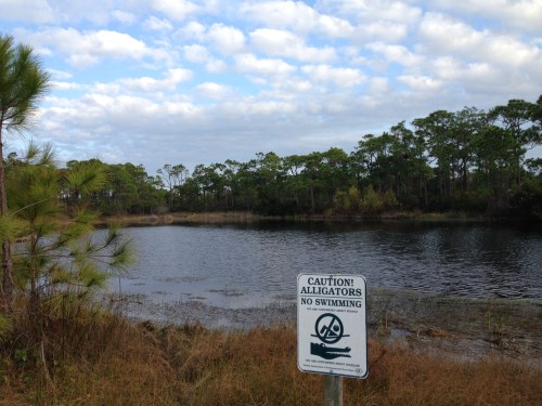 St. George Island State Park, Florida