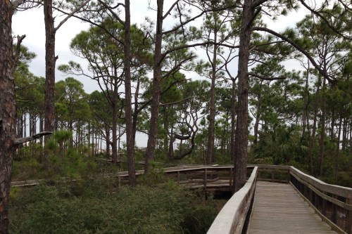 St. George State Park Nature Trail