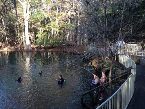 Manatee Springs State Park