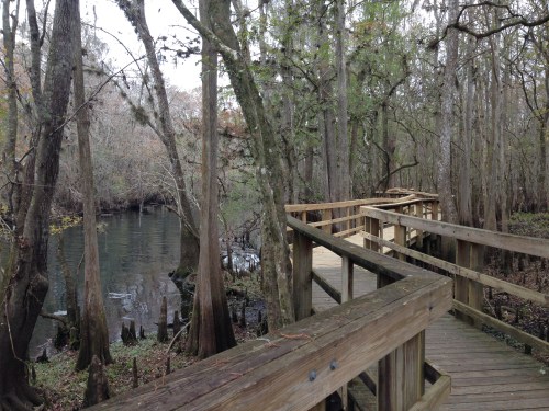 Manatee Springs State Park