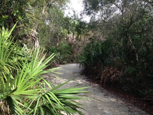 Florida Panther National Refuge