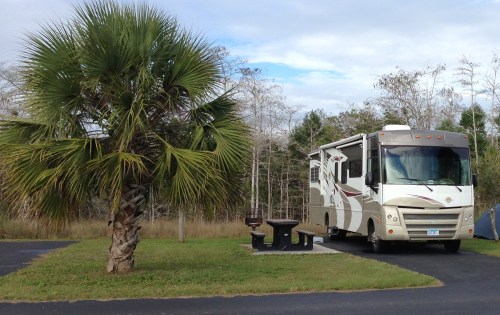 Midway Campground, #7, Everglades, Florida