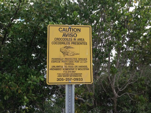 Crocodile Warning
