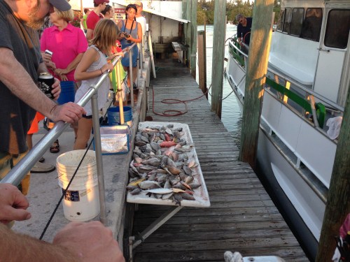 The Catch of the Day