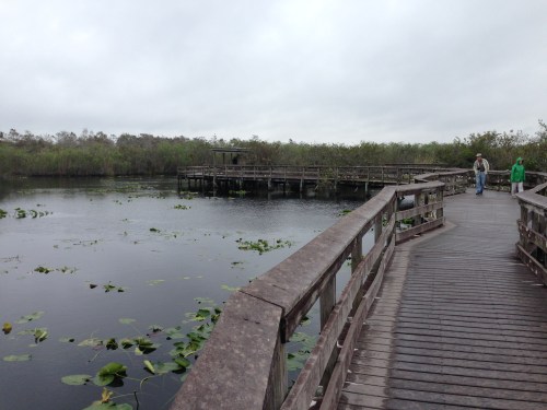 Anhinga Trail