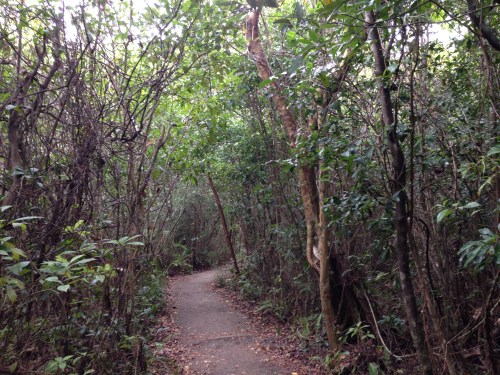 Nature Trail