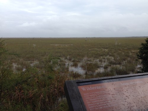 The Everglades National Park