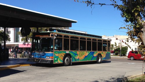 Suncoast Trolley