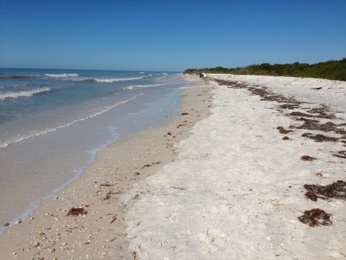 Honeymoon Island