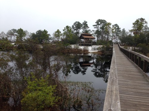 Big Lagoon State Park