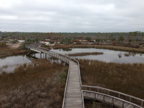 Big Lagoon State Park
