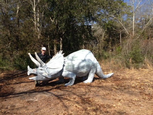 Triceratops