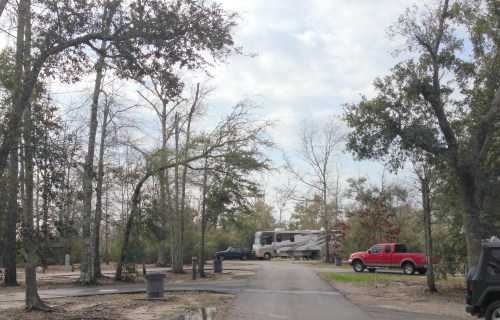 Buccaneer State Park, #129