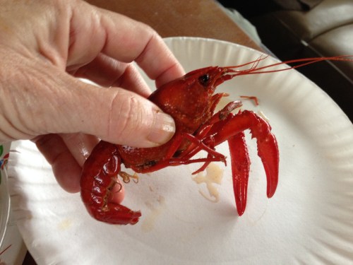 Crawfish