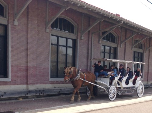 Horse Drawn Carriage Rides
