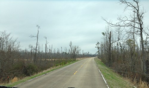 April, 2011, Tornado on the Trace